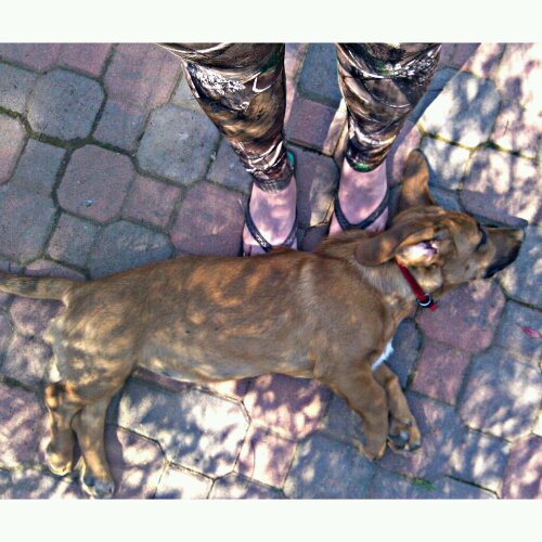 photoshake_1365953110401.jpg image